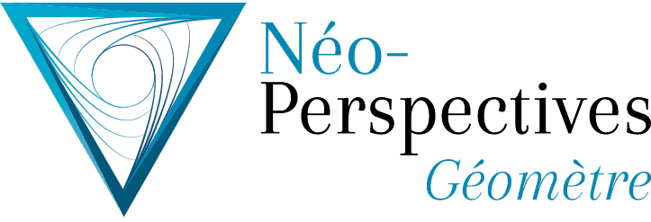 Neo-Perspectives